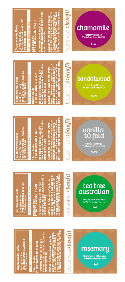 Design Graphique par Luz pour The Chocolate Workshop | Design #1709165