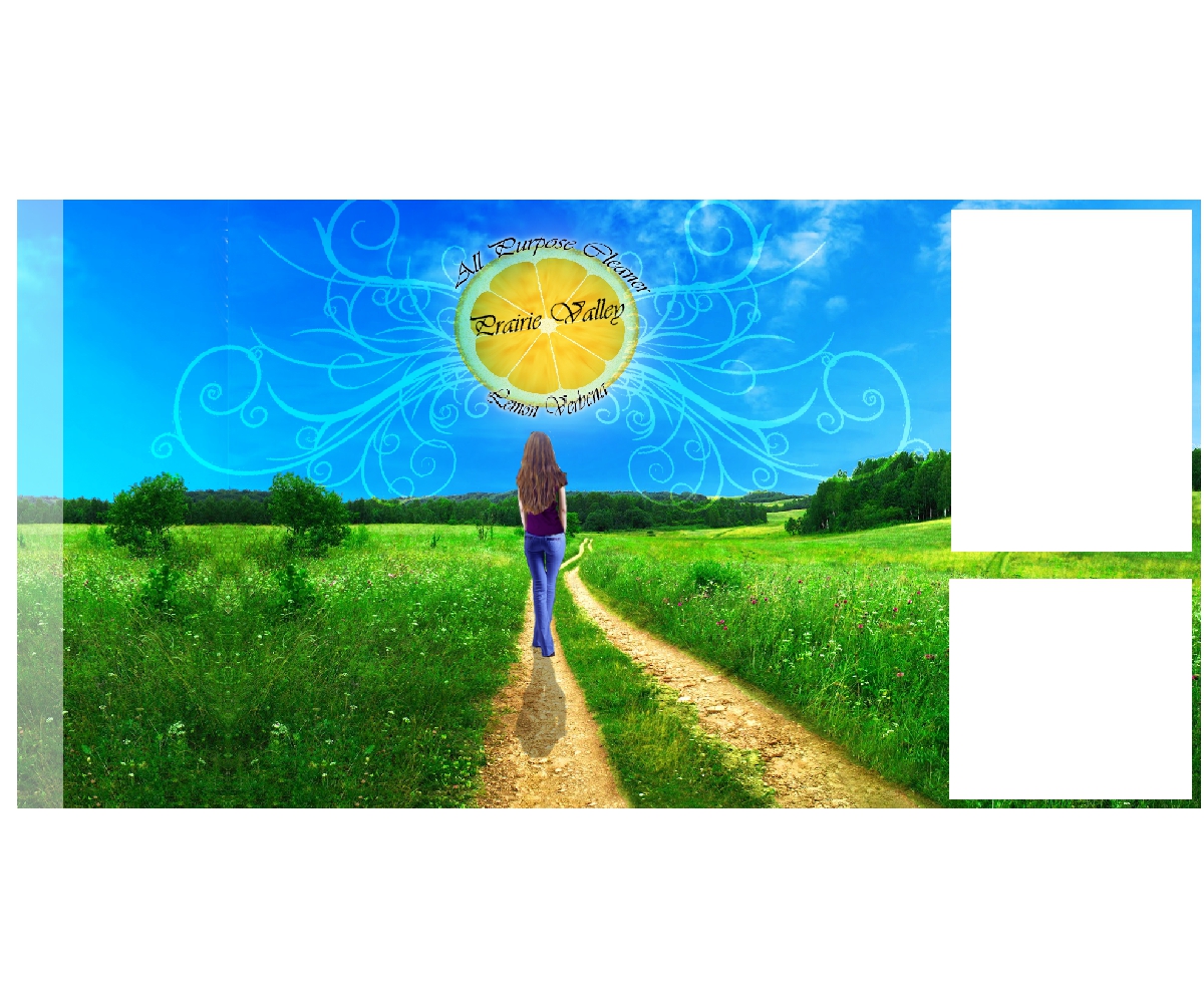 Diseño Gráfico por AngelZamaki para Prairie Valley | Diseño #1709962