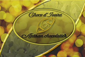 Logo Design by Owleria