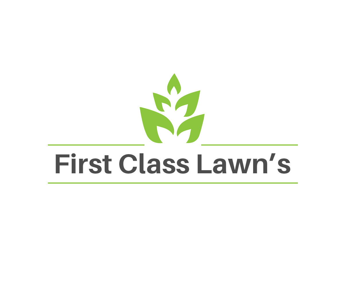Logo Design by jerin205 for this project | Design #6373901