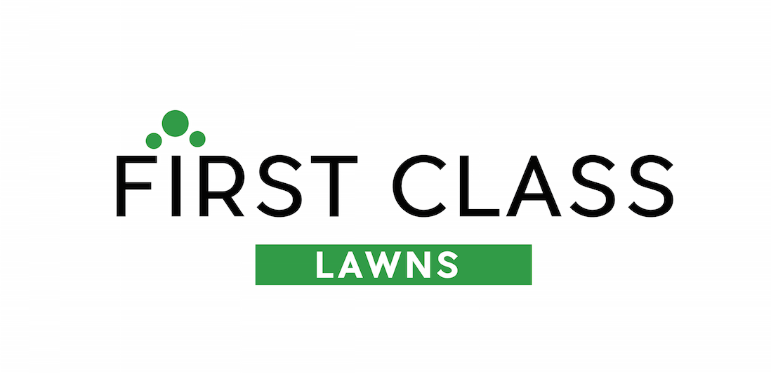 Logo Design by dareenal-jamal for this project | Design #6381513