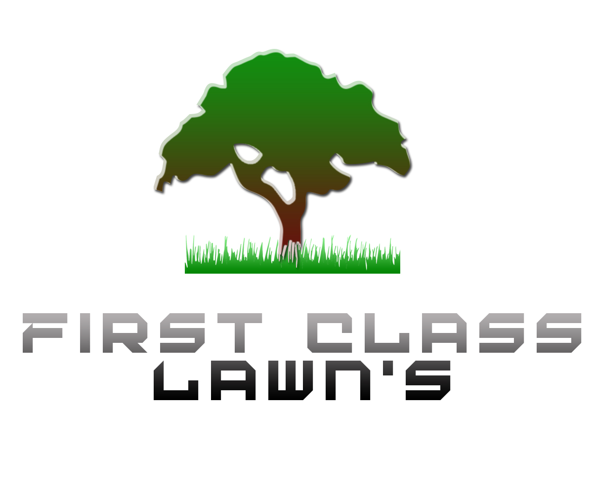 Logo Design by BeCool for this project | Design #6375840