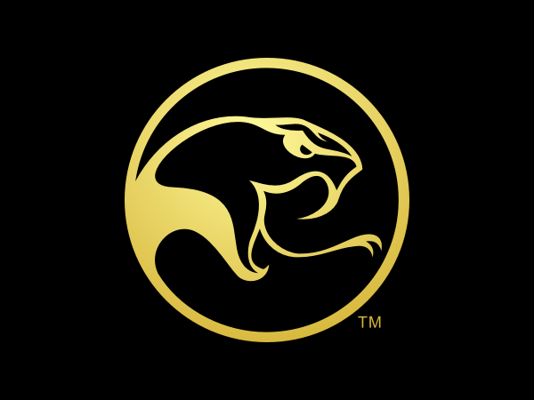 Diseño de Logo por allegra creativa para este proyecto | Diseño #347962