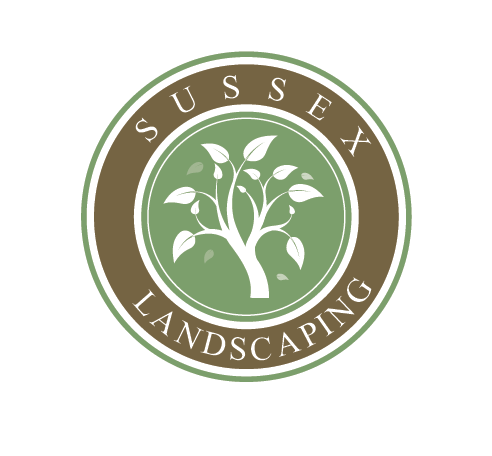 Flyer Design by alex989 for this project | Design #6390006