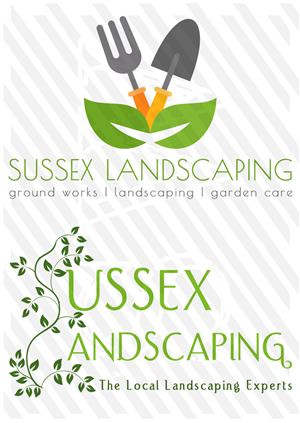 Flyer Design by SSMWARD