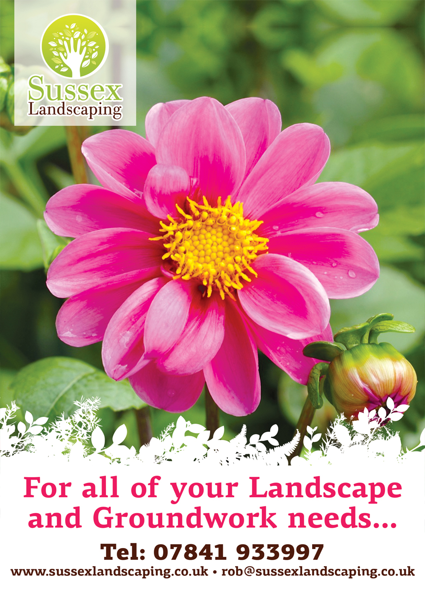 Flyer-Design von SteliosBad für dieses Projekt | Design #6383101