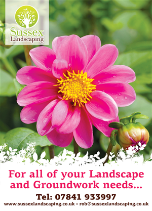 Flyer-Design von SteliosBad für dieses Projekt | Design: #6383101