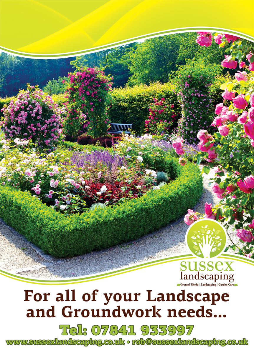 Flyer-Design von SteliosBad für dieses Projekt | Design #6389739