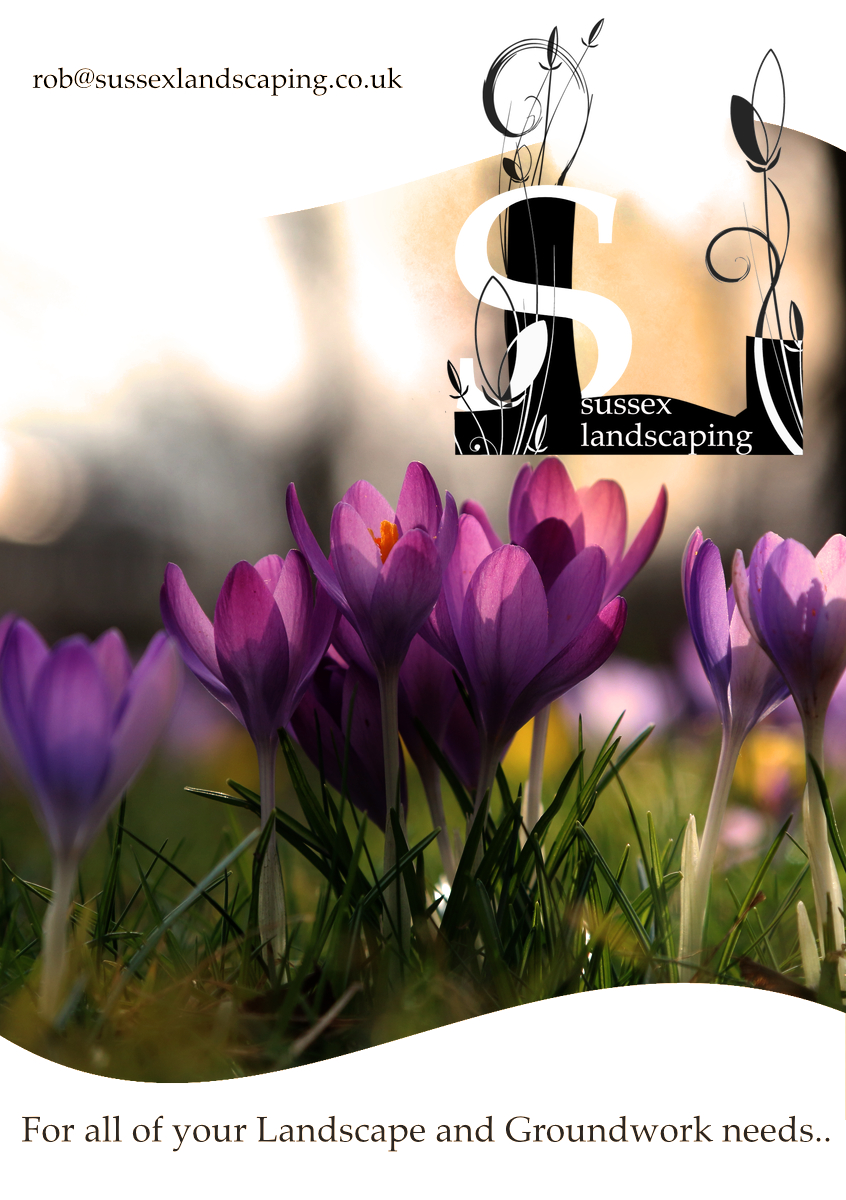 Design de Flyer par Sentinelgre pour ce projet | Design #6382191