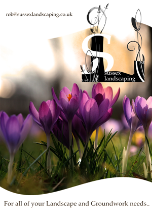 Flyer-Design von Sentinelgre für dieses Projekt | Design: #6382191