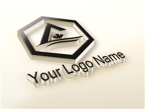 Logo Design by syedanishu03