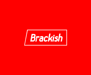 Logo Design by Nino Prasetya