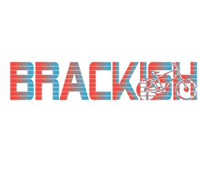 Logo Design by Mikhail Shishov