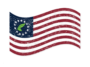 No text just the flag with 13 stars in circle with tea leaf in middle.  | Logo Design by Tammy Moore