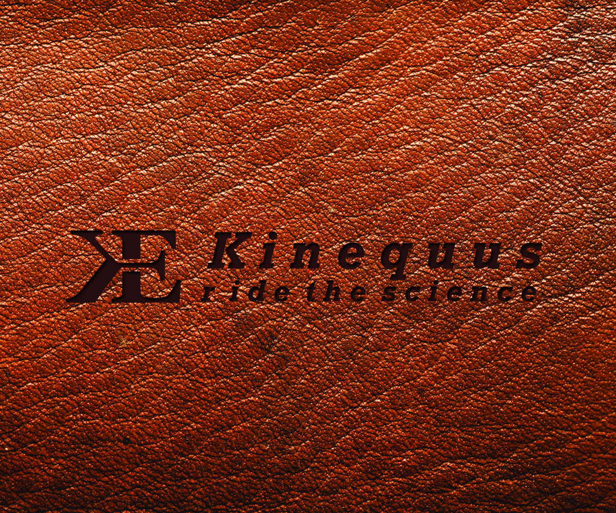 Logo Design by galihaka for this project | Design #6403377