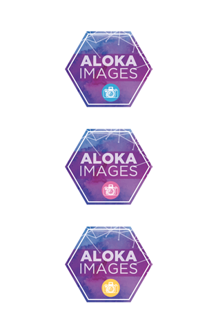 Logo Design by Coco Creative