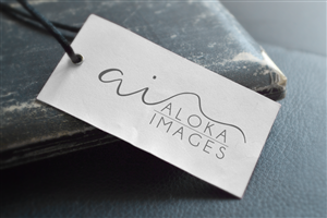 Logo Design by HamptonsDesigns