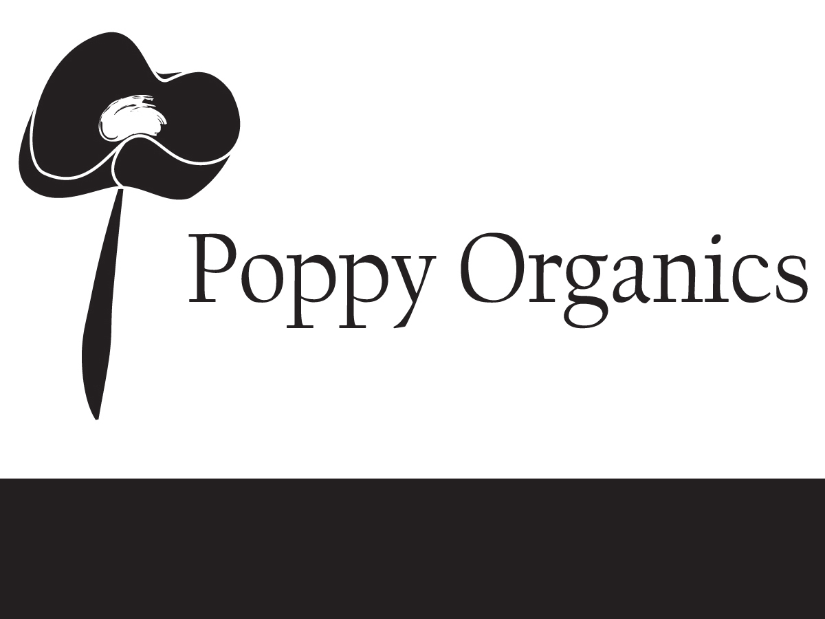 Diseño de Logo por OnDesign para este proyecto | Diseño #341368