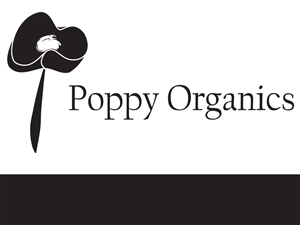 Diseño de Logo por OnDesign para este proyecto | Diseño: #341368