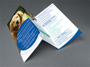 Flyer Design by Pram Shaw for New England Pet Hospice, Inc. | Design: #6409938