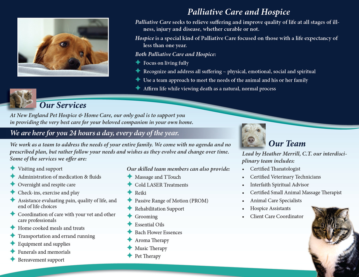 Flyer Design by DesignScout for New England Pet Hospice, Inc. | Design #6423581