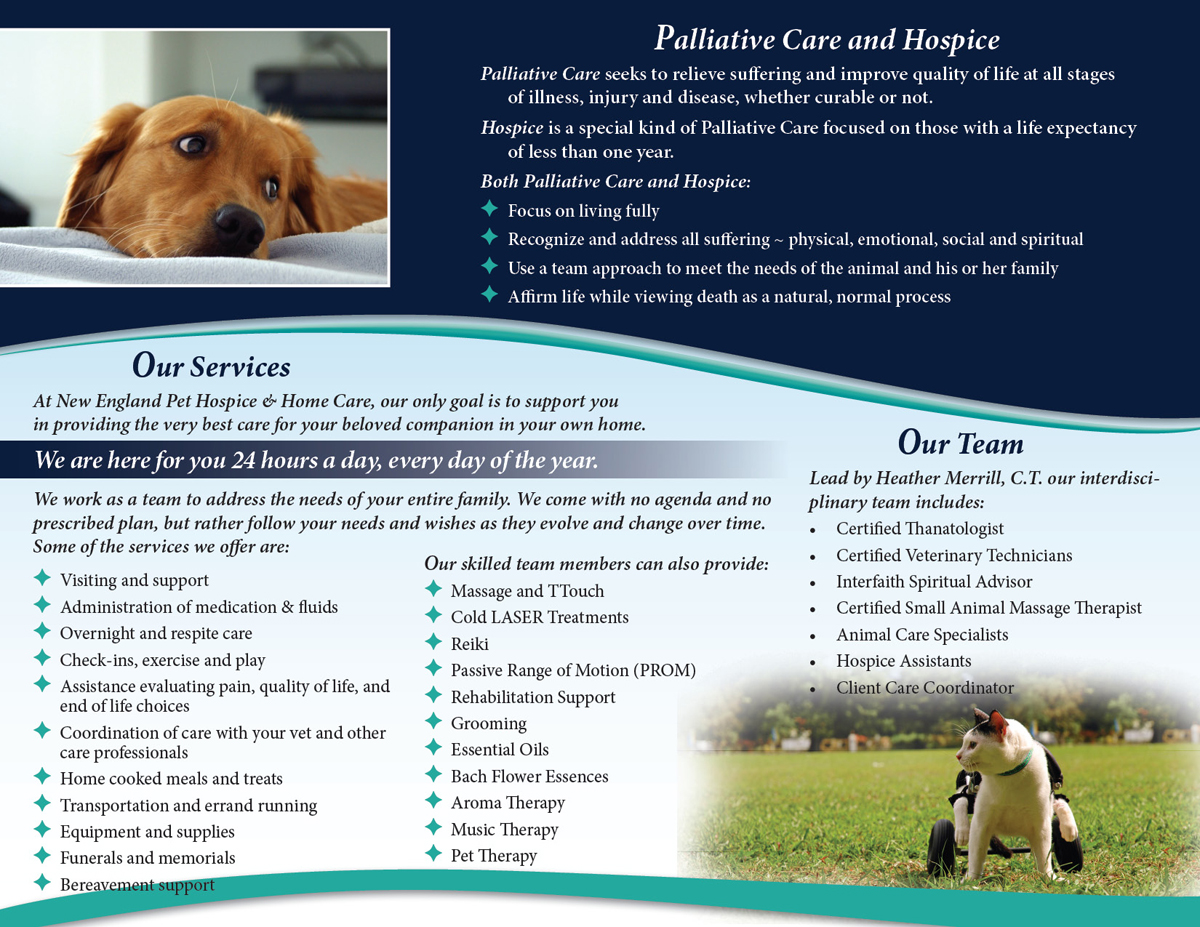 Flyer Design by DesignScout for New England Pet Hospice, Inc. | Design #6430609