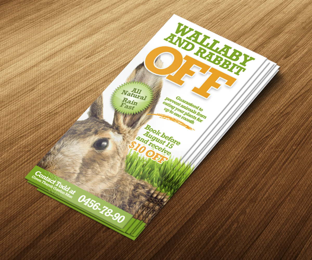 Diseño de Flyer por jeffdefy para este proyecto | Diseño #6378246