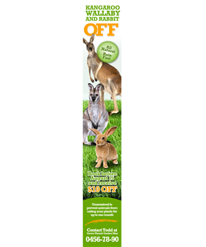 Flyer Design by jeffdefy for this project | Design: #6456835