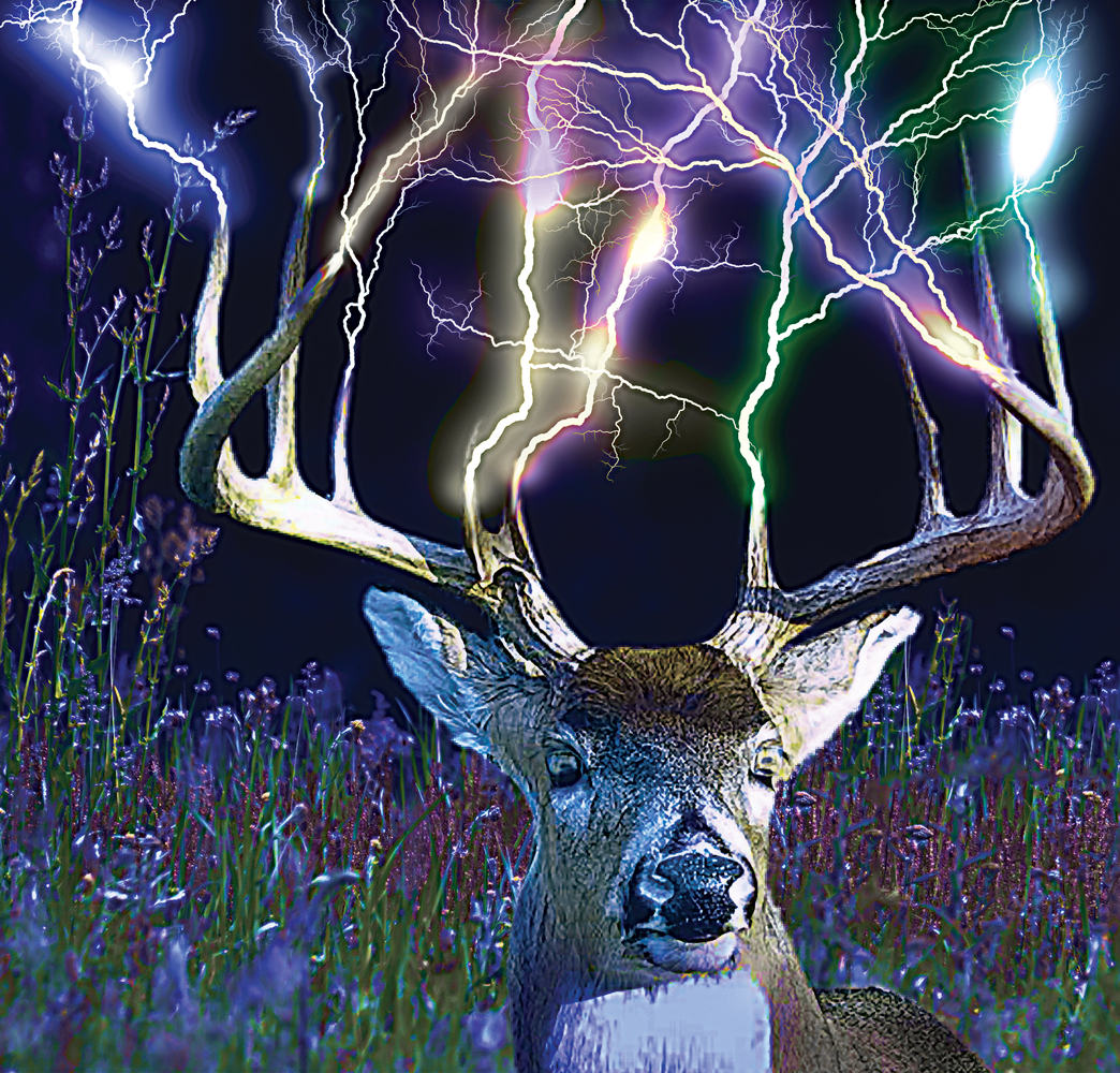 Design Graphique par UrbainFX pour ce projet | Design #6459345