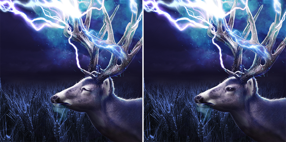 Graphic Design by iMAGICations for this project | Design: #6435001