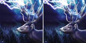 Graphic Design by iMAGICations for this project | Design: #6466901