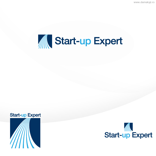 Logo Design by damakyjr for this project | Design #348219