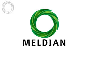 Logo Design by Cristi Enache