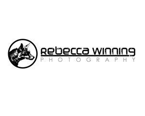 Logo Design by CSDGraphics105