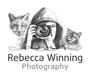 Logo Design by Daniel318