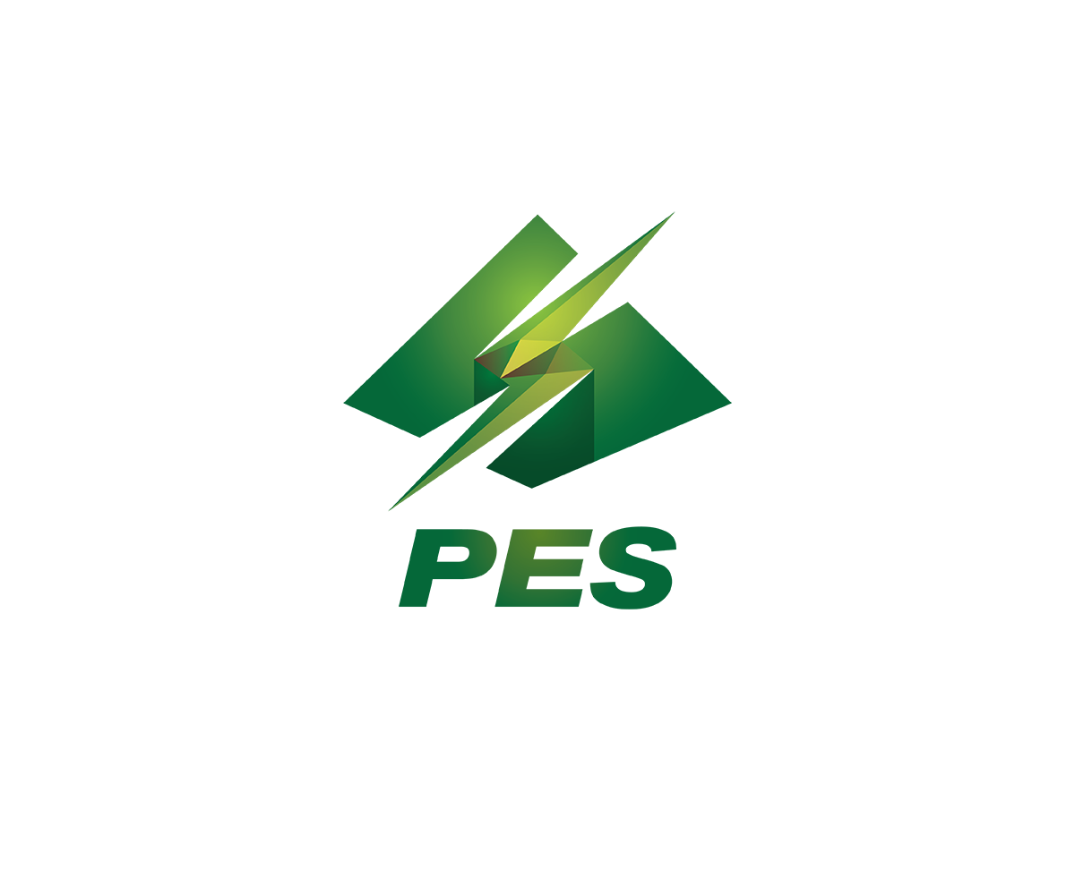 Logo Design by juanmikes for Peak Electrical Sales | Design #6411409