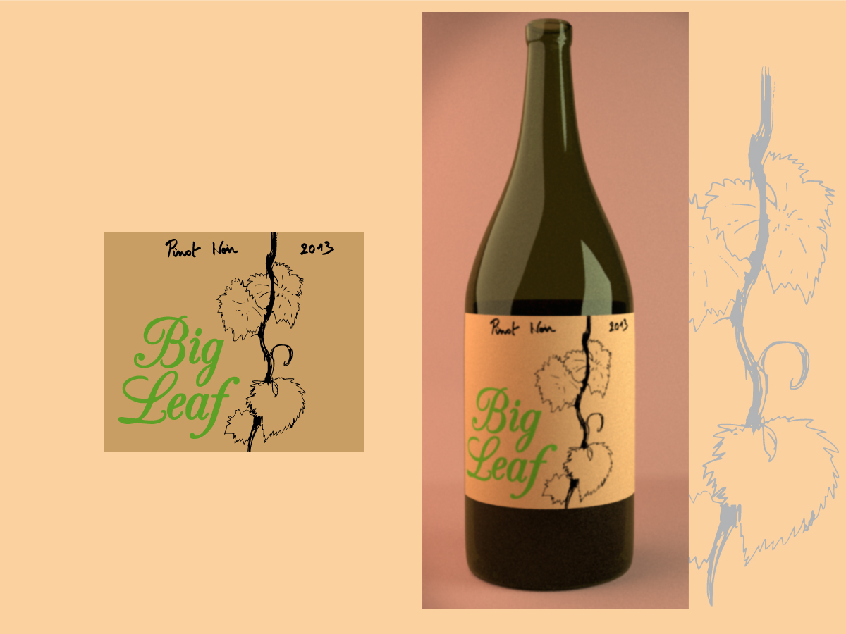 Diseño de Empaque por Jay para este proyecto | Diseño #1703156