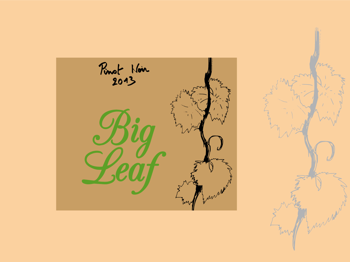 Packaging Design by Jay for this project | Design #1703165