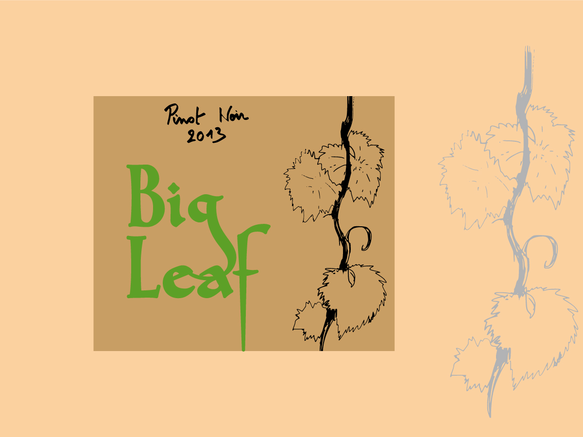 Packaging Design by Jay for this project | Design #1703169