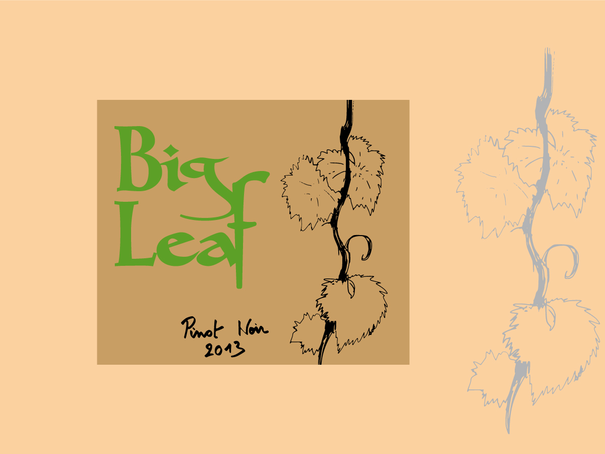 Packaging Design by Jay for this project | Design #1703231