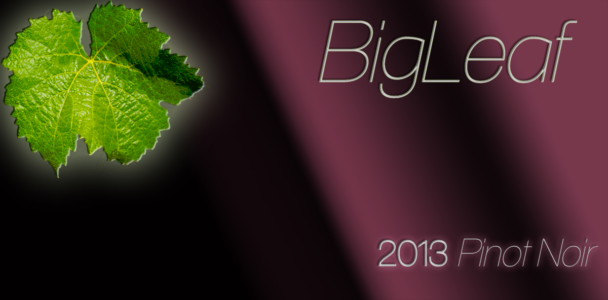 Packaging Design by MarkPeterson for this project | Design #1691391