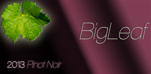 Packaging Design by MarkPeterson for this project | Design: #1691395