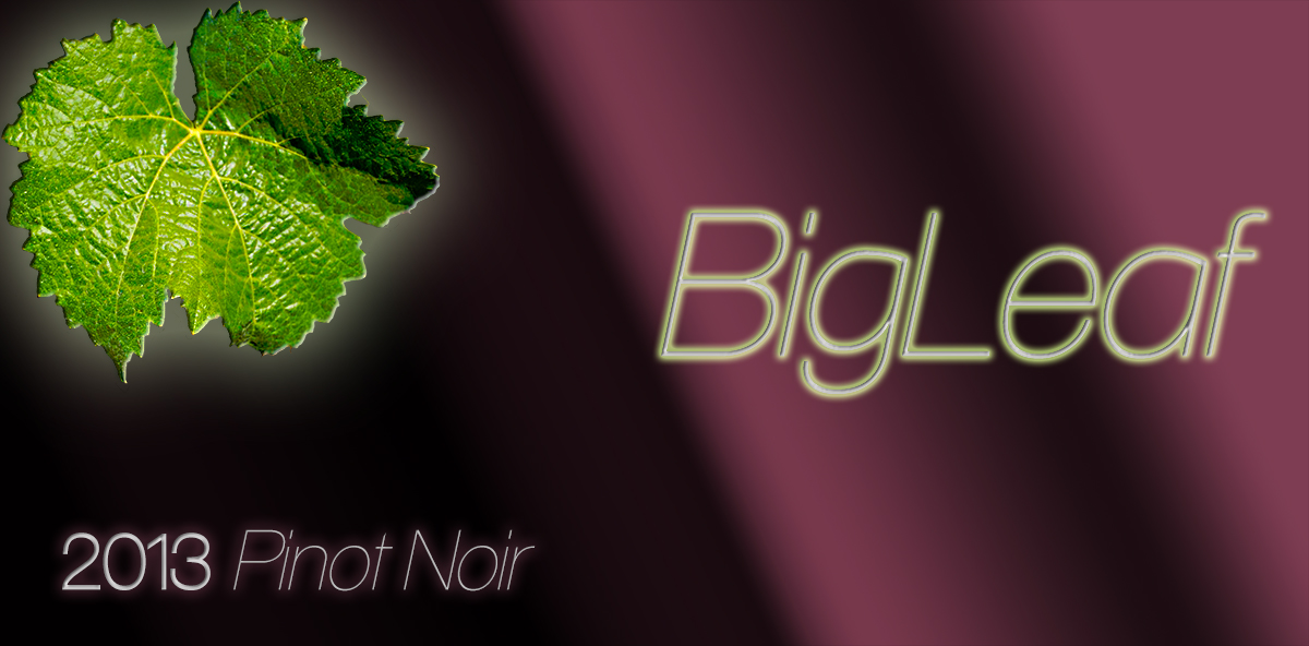 Packaging Design by MarkPeterson for this project | Design #1691823