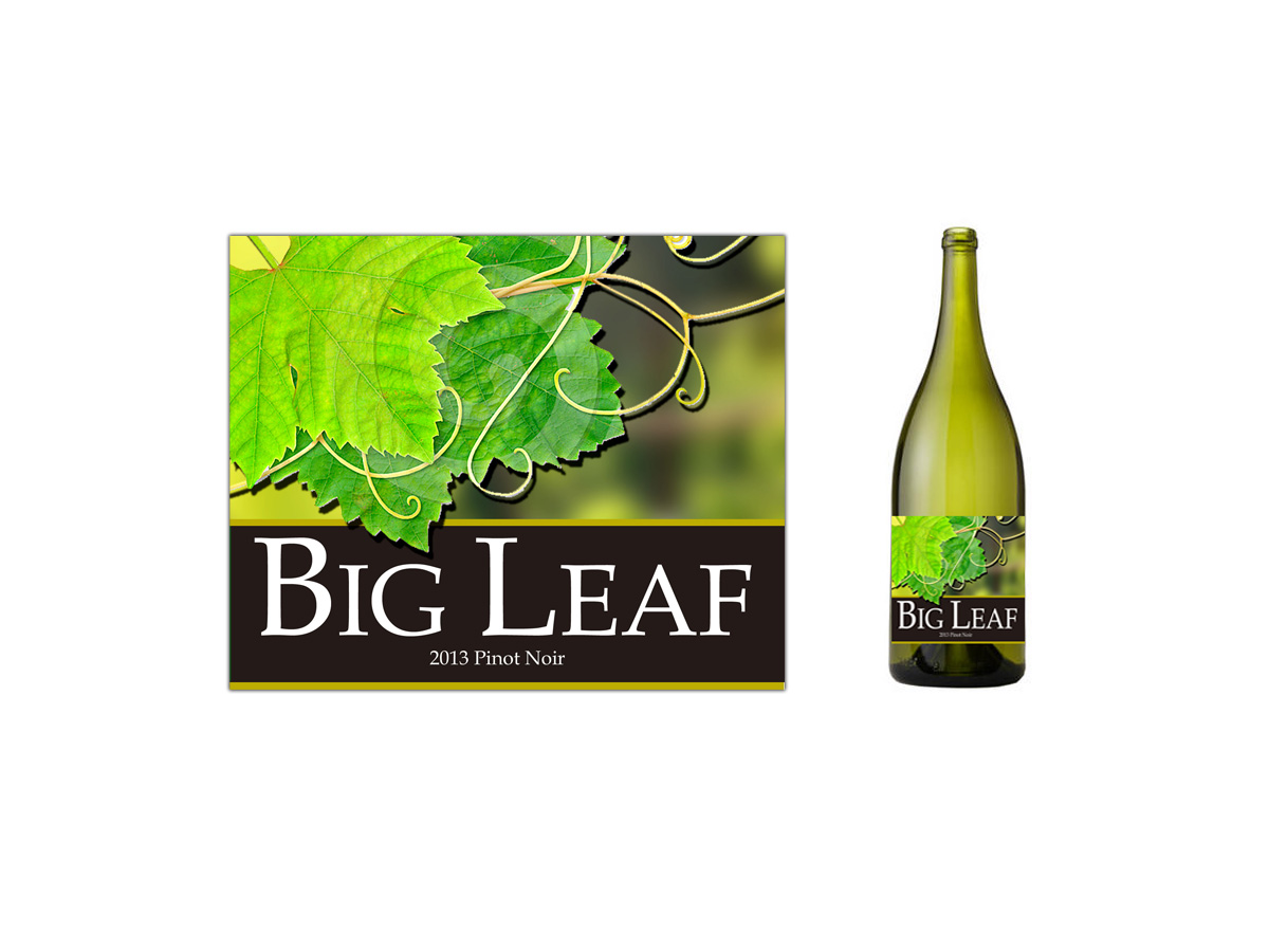 Packaging Design by PAGEMonkey Design for this project | Design #1702537