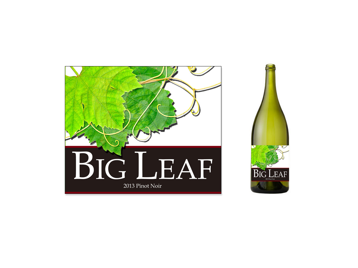 Packaging Design by PAGEMonkey Design for this project | Design #1702542