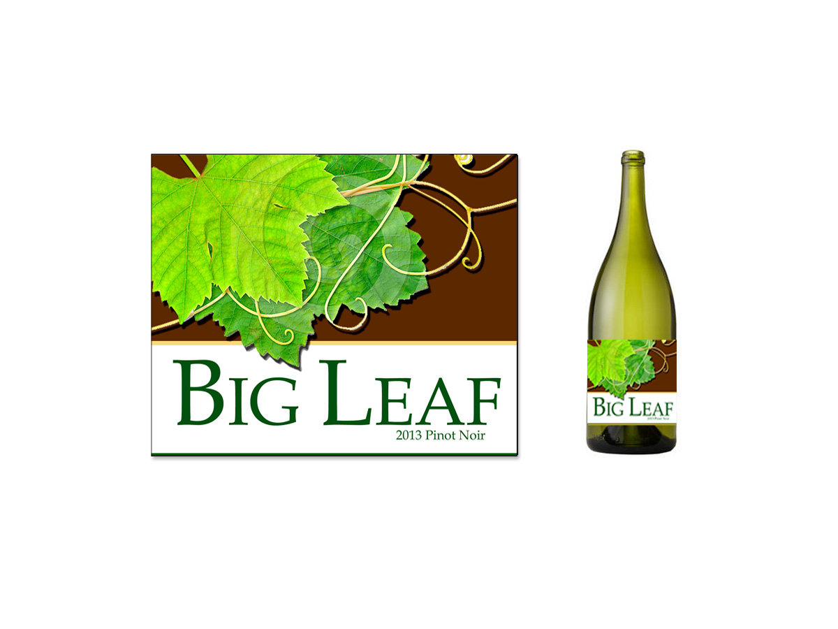Packaging Design by PAGEMonkey Design for this project | Design #1702545
