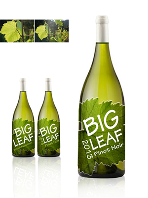 Packaging Design by NAOTOO