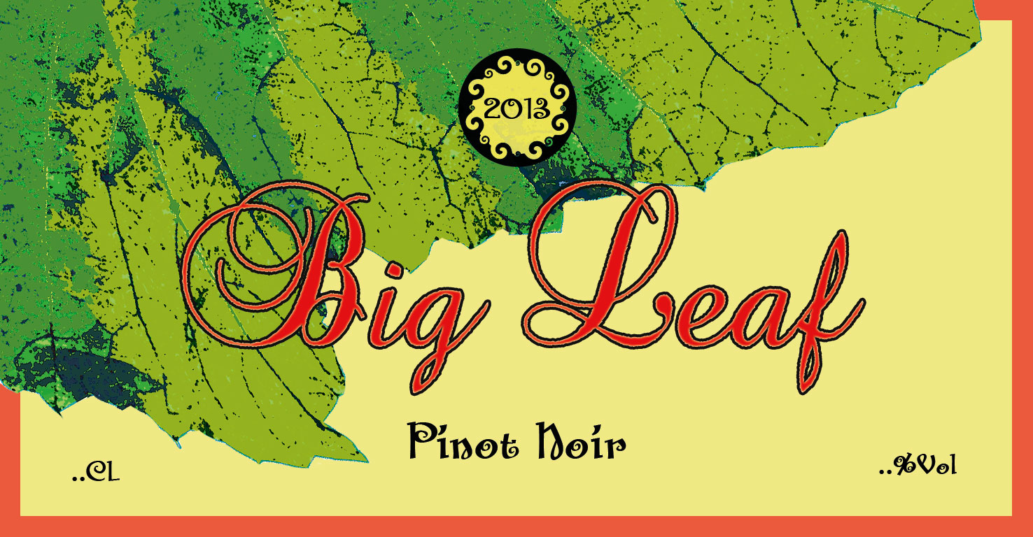 Packaging Design by shayma for this project | Design #1719346