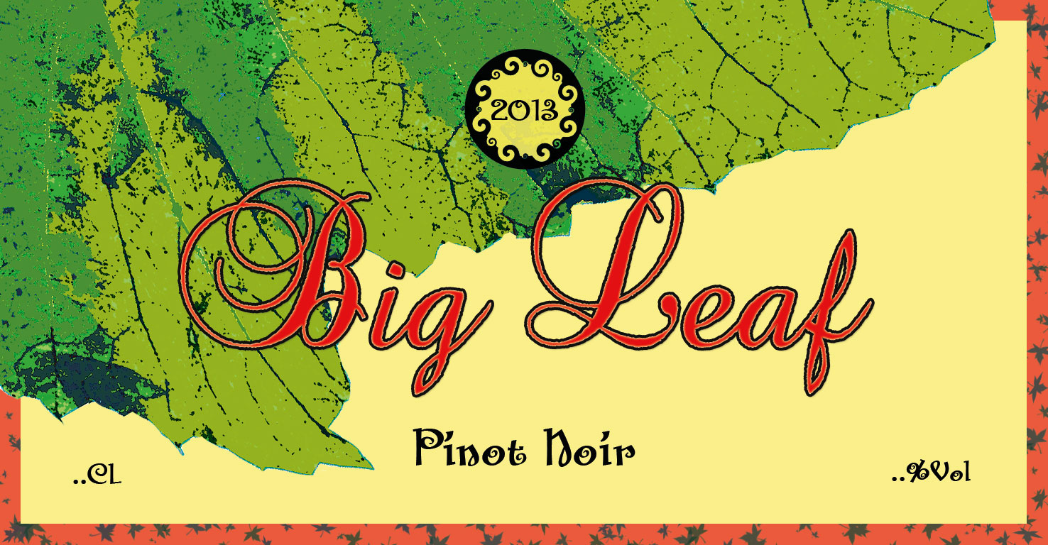 Packaging Design by shayma for this project | Design #1719386