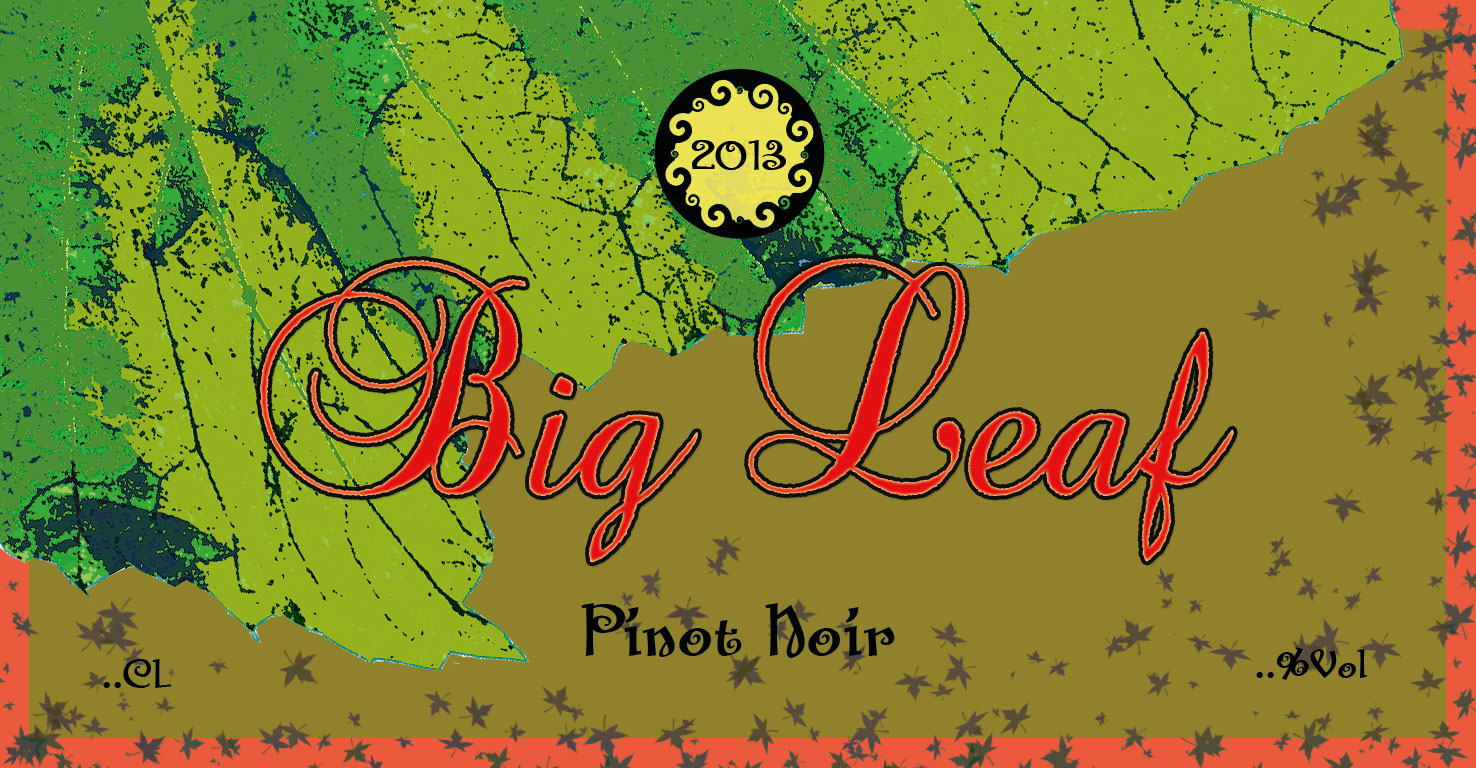 Packaging Design by shayma for this project | Design #1719398